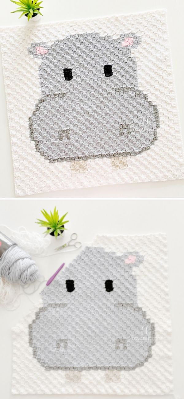 c2c Hippo