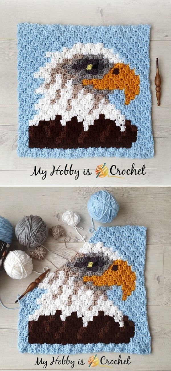 Bald Eagle C2C Square