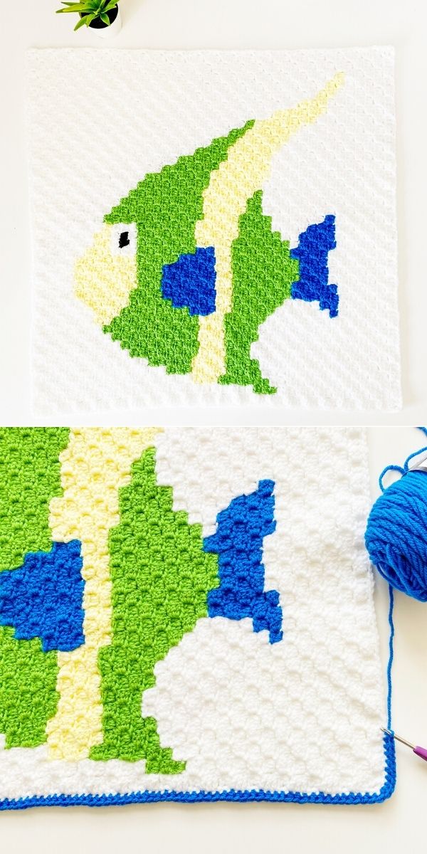 c2c Fish