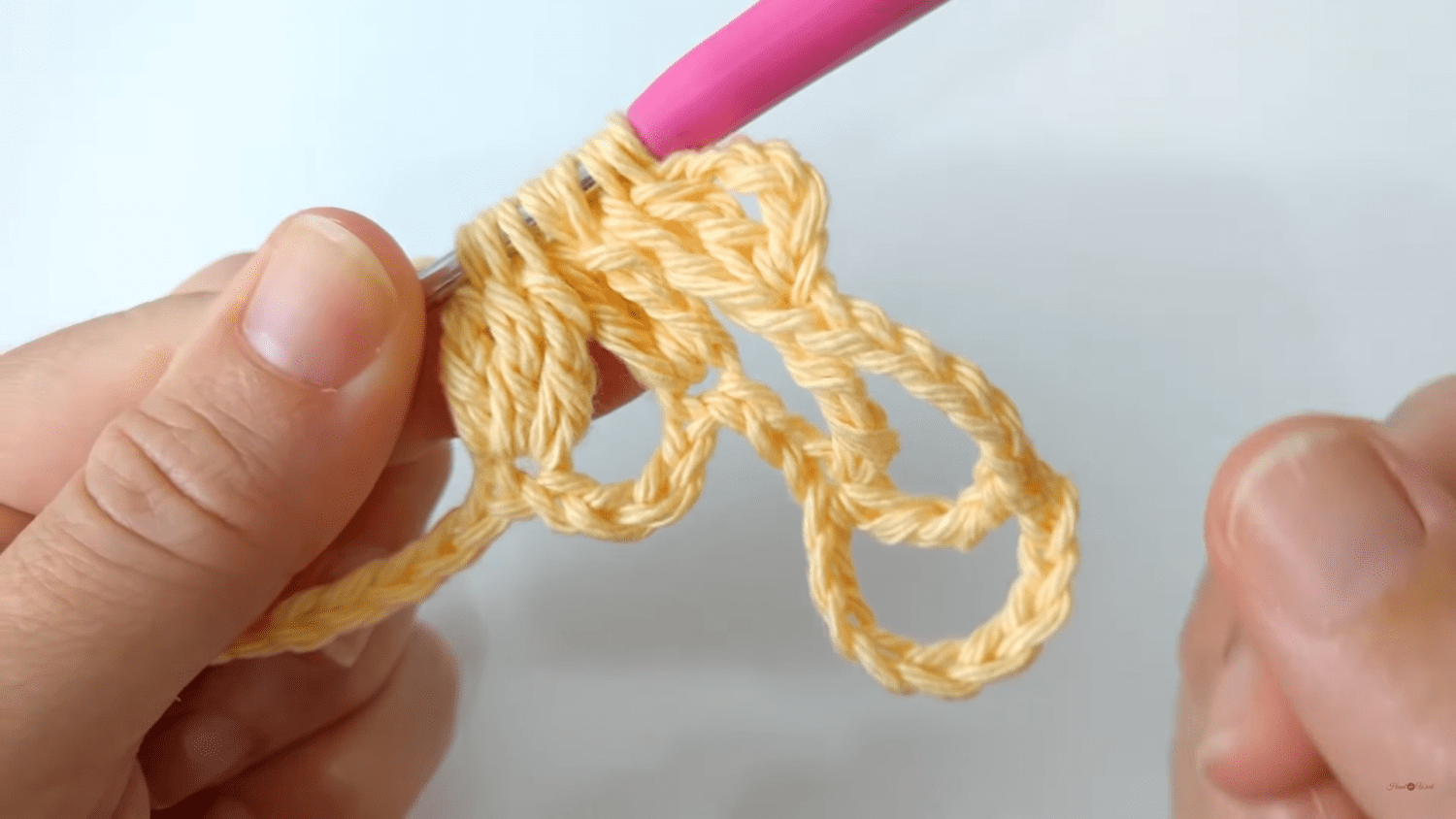 A pair of hands holding a crochet hook.