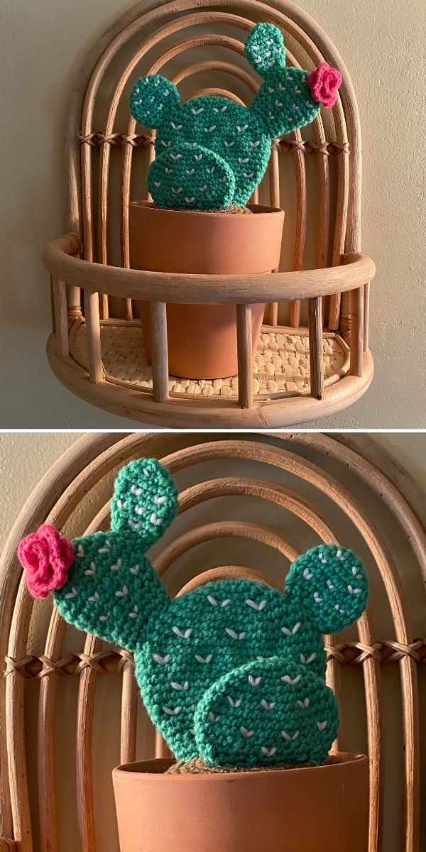 Prickly Pear Cactus