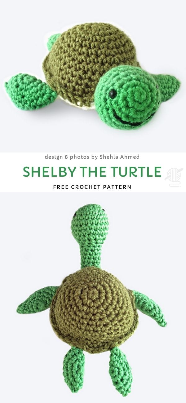 Shelby the Turtle 