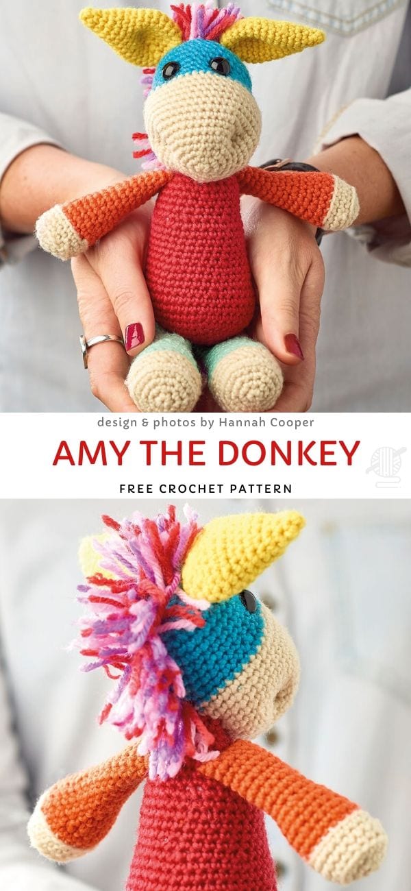 Amy The Donkey 