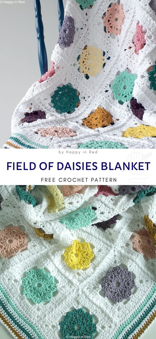 Field of daisies blanket free crochet pattern