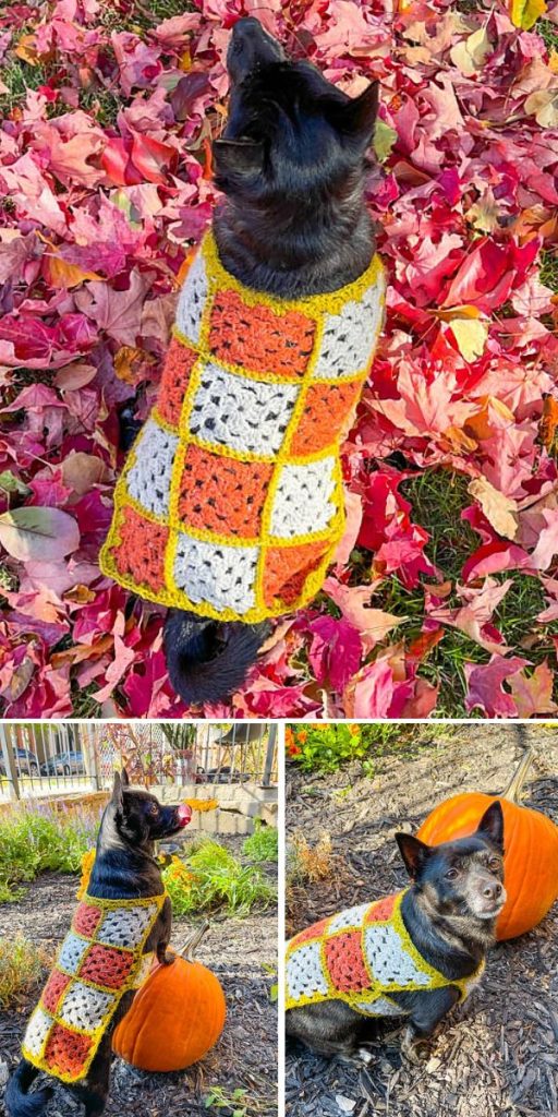 Crochet Dog Sweaters and Accessories