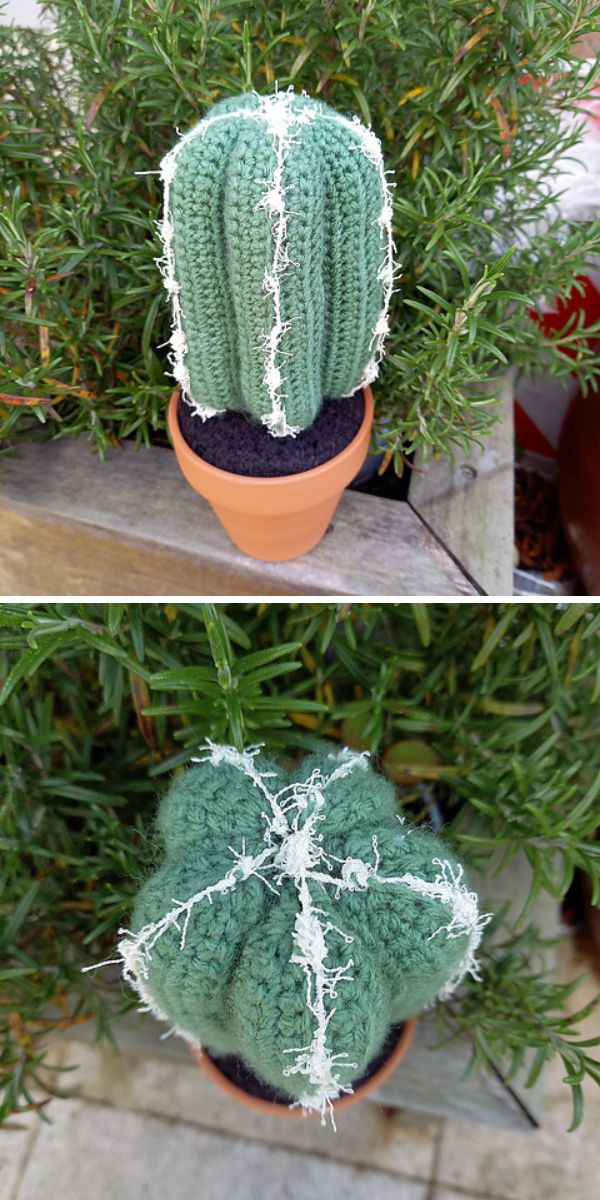 An amigurumi cactus in a pot.