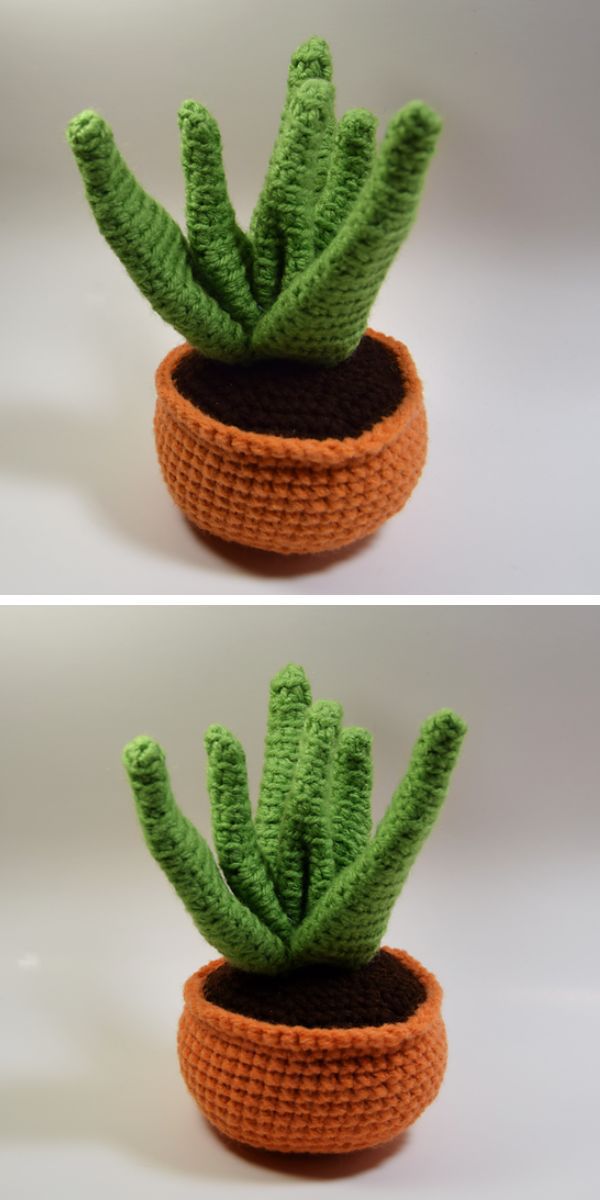 an amigurumi aloe vera plant in a pot