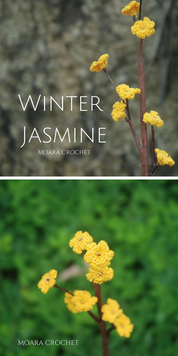 A close-up image of yellow crochet winter jasmine flowers with a blurred background.