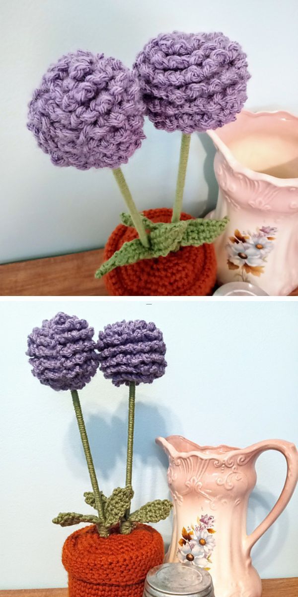 two purple crochet Allium flowers