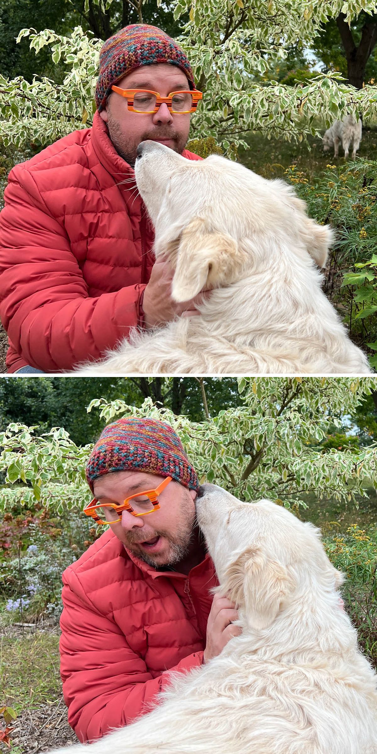 A man in a red jacket and a stylish crochet hat interacts with a large white dog, while another dog playfully lingers in the background.
