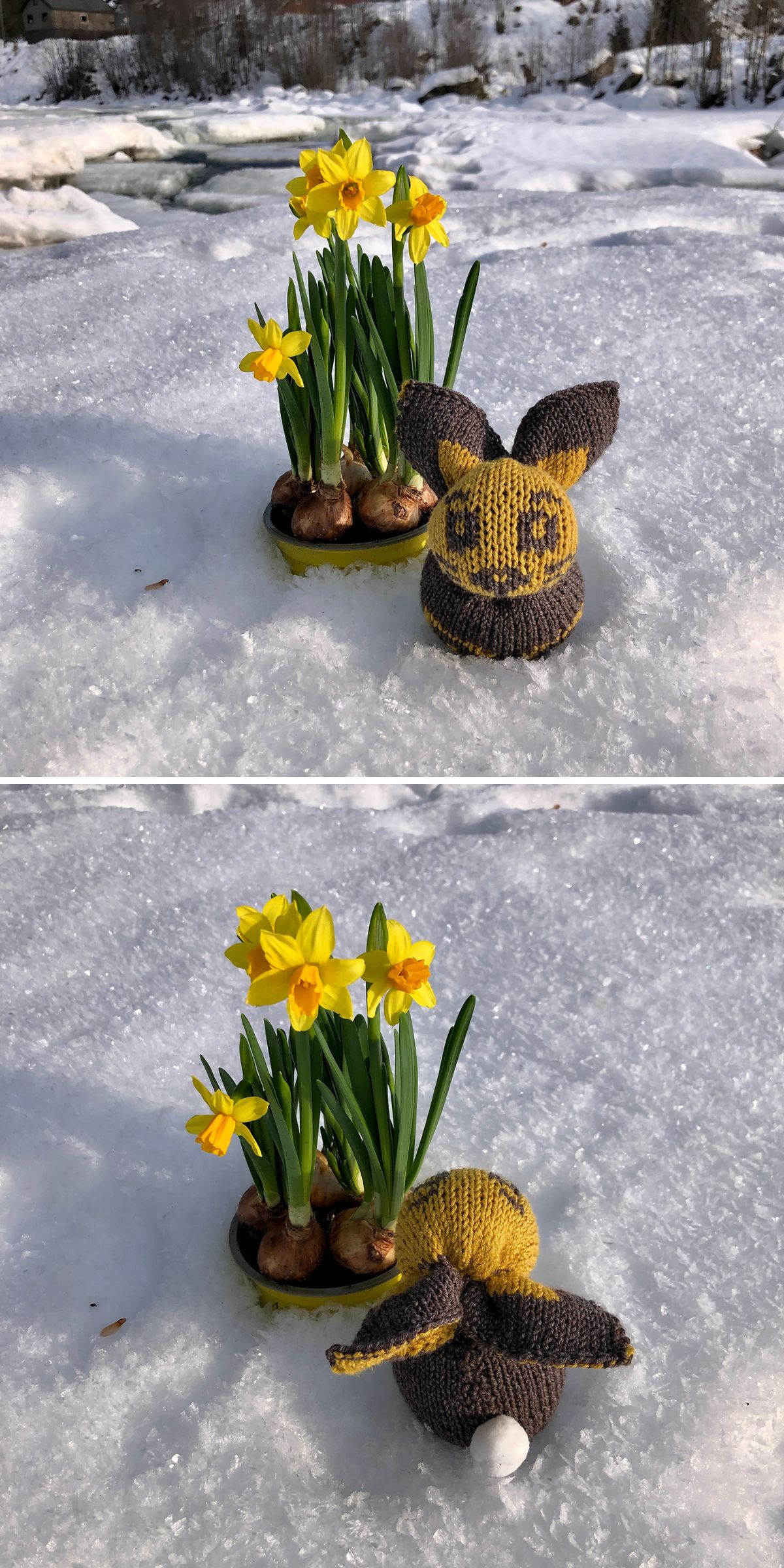 a knitted Easter bunny 