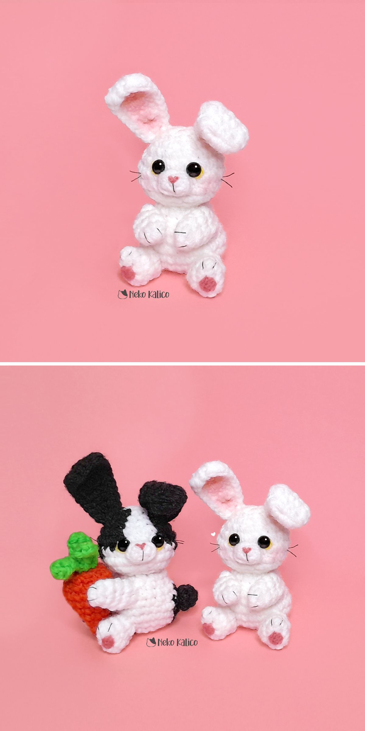 two little cute bunnies