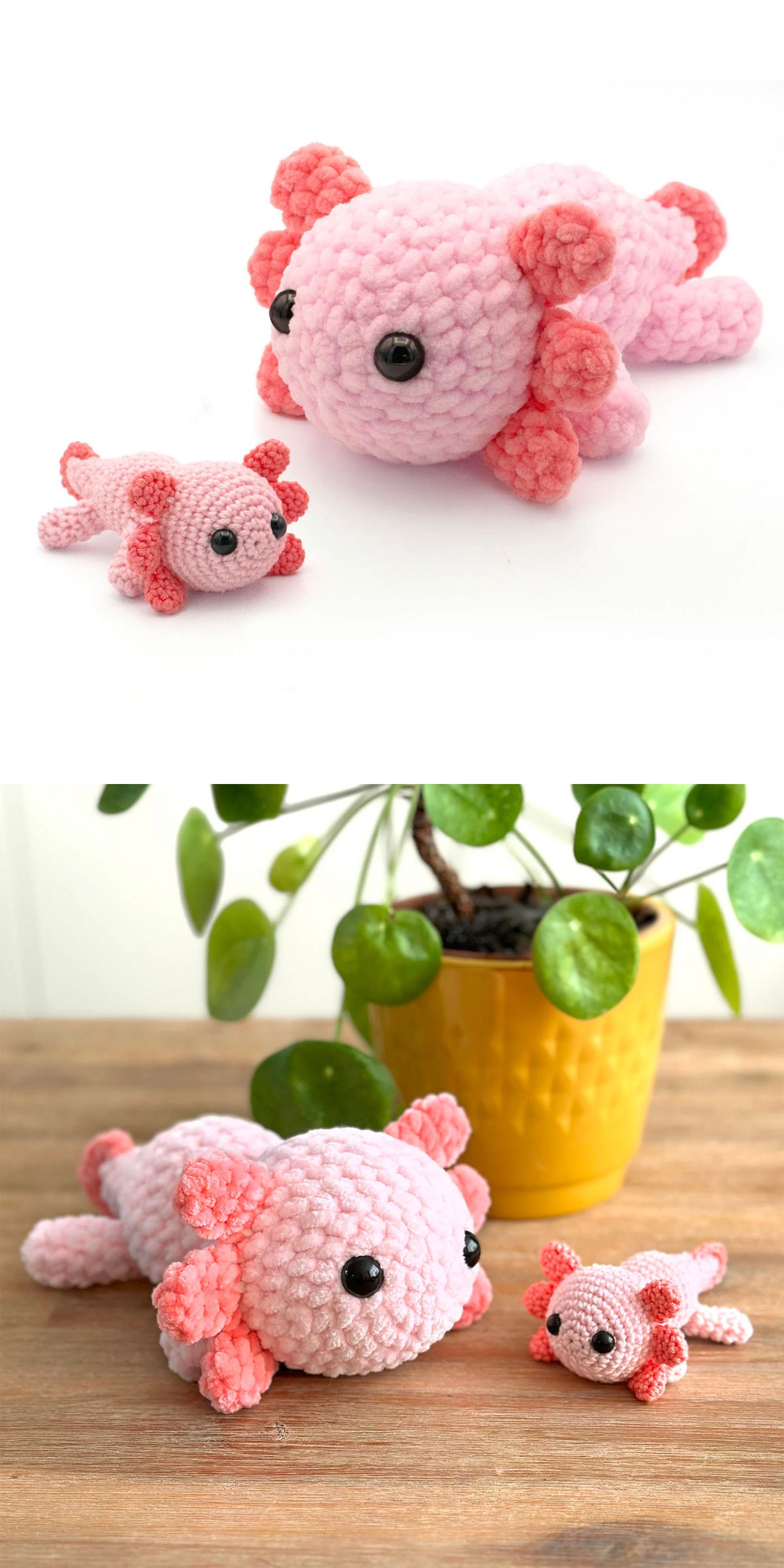 two differently sized crochet axolotls