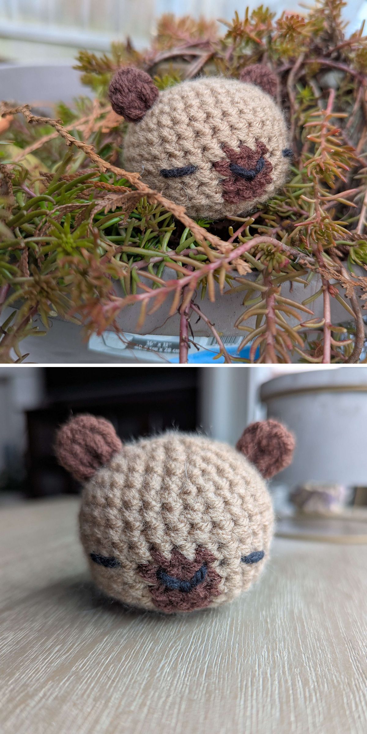 Two photos of a small crocheted capybara animal head with closed eyes and brown ears, shown nestled in a plant and sitting on a table.